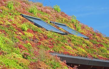 Barming Heath living roof systems